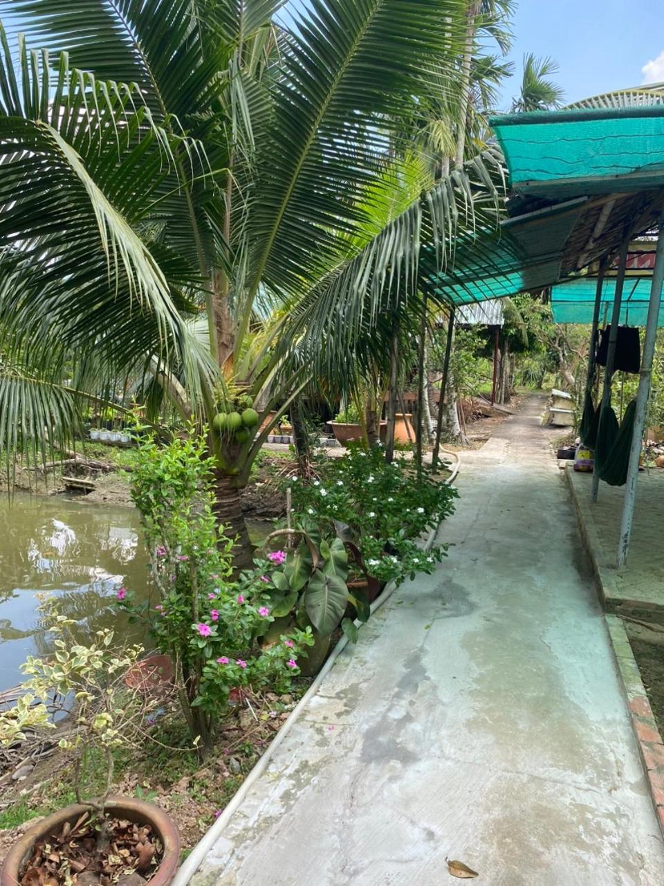 Ba Hung homestay