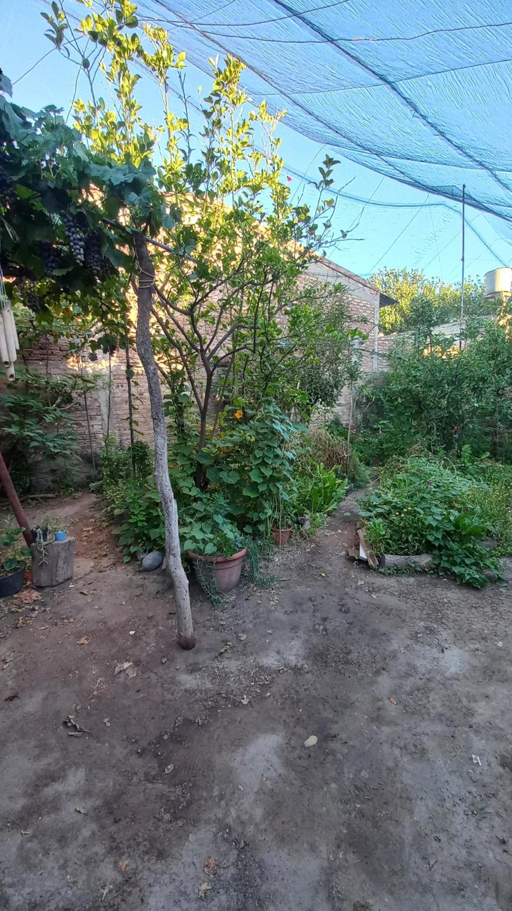 Casa Los Frutales San Rafael