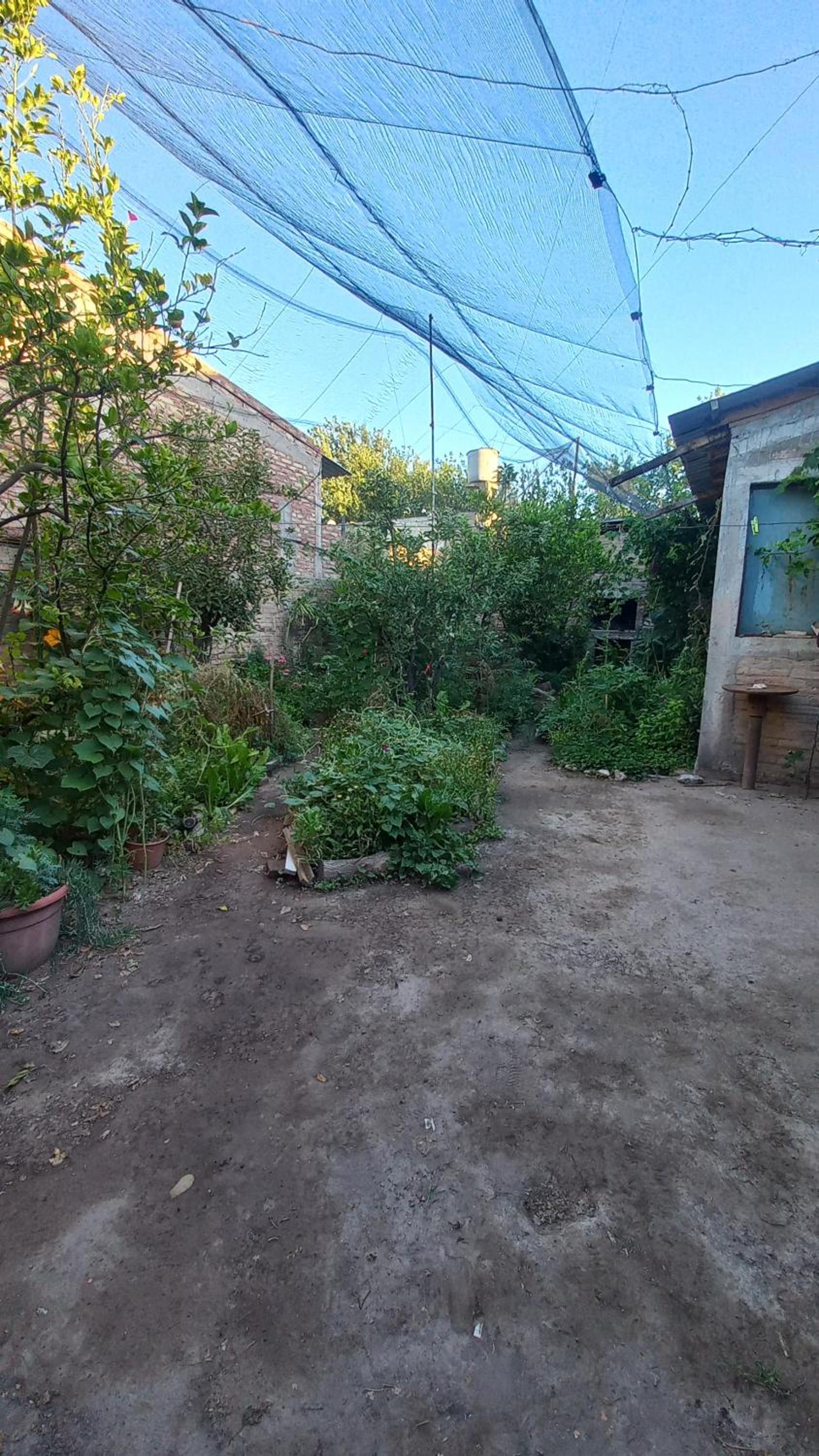 Casa Los Frutales San Rafael