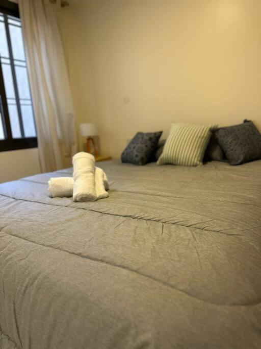 Lomas Apartments (Modernity with the best location)
