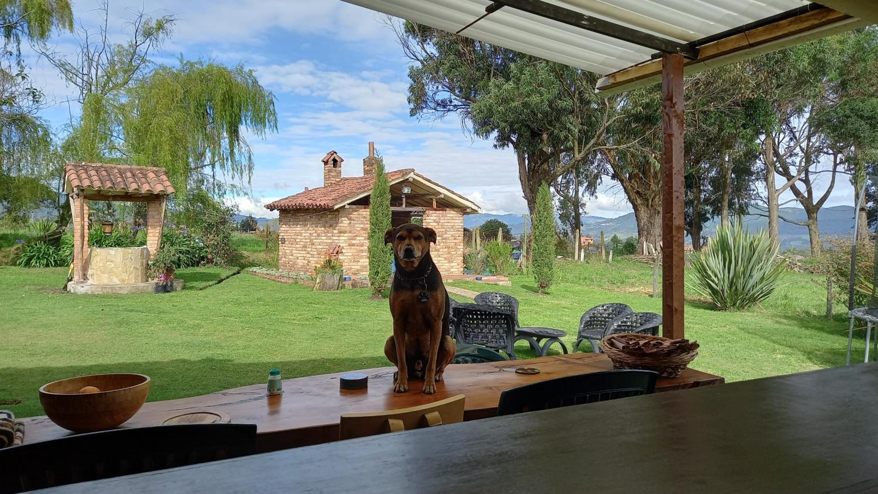 Cabañas rurales Mano de Oso Guasca