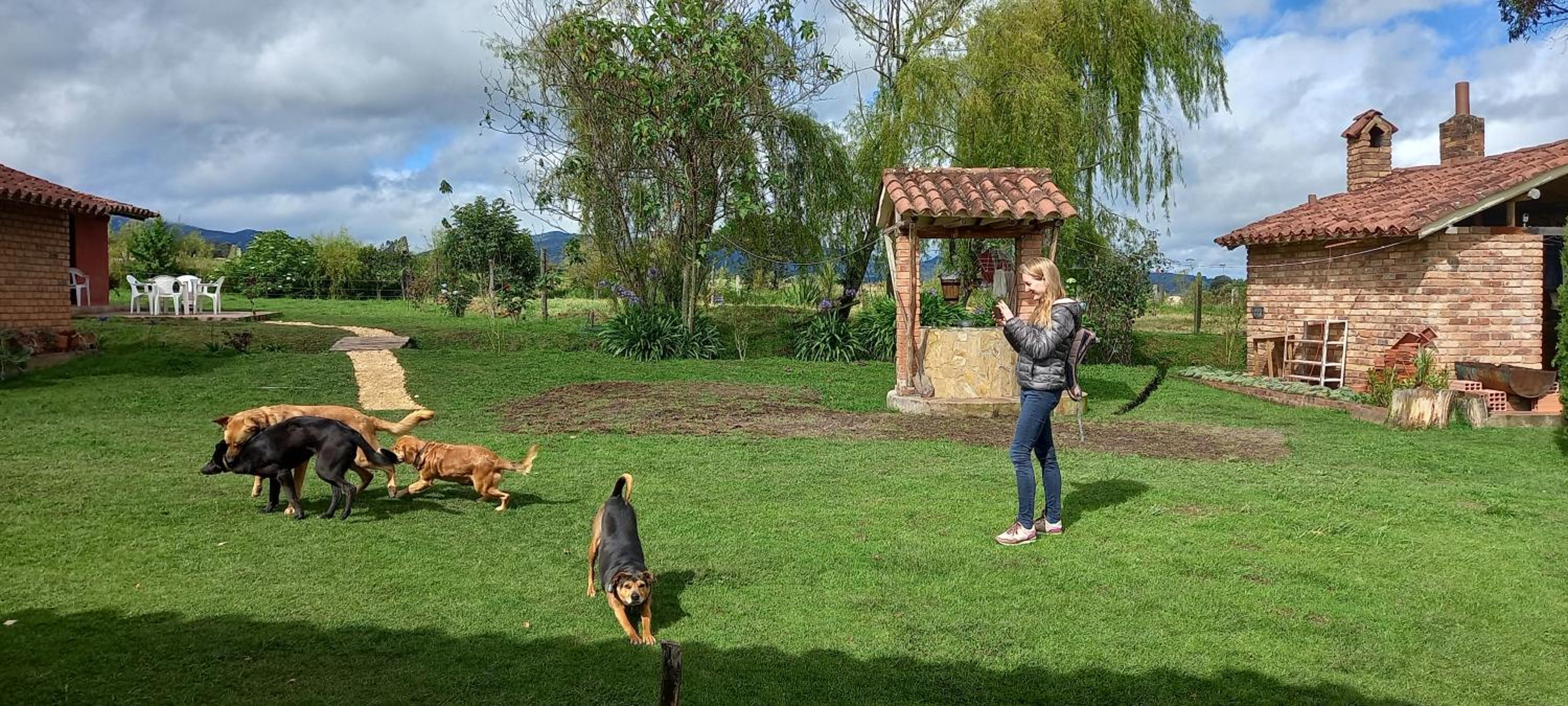 Cabañas rurales Mano de Oso Guasca