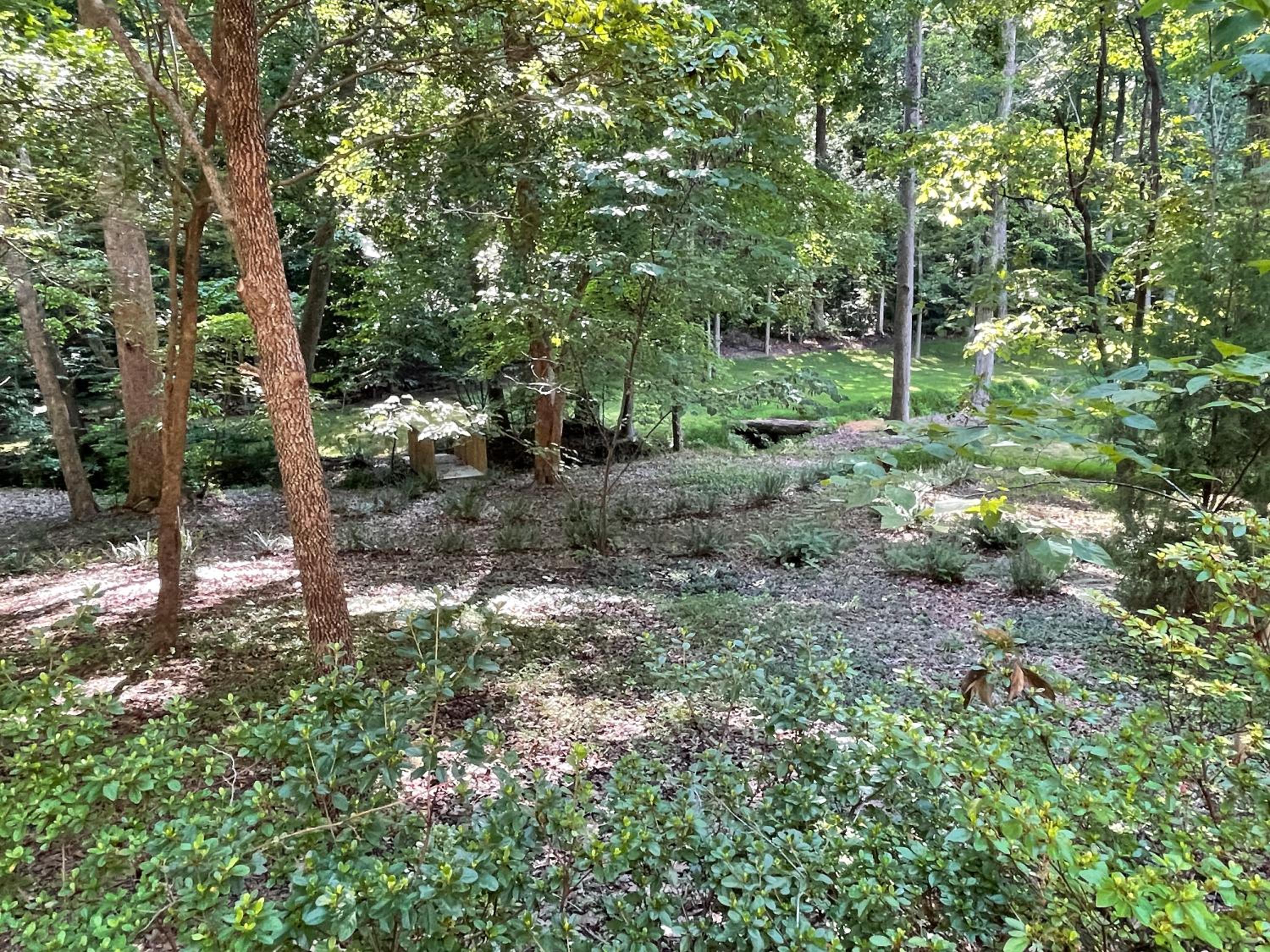 Mary's Place - Studio surrounded by nature but close to High Point