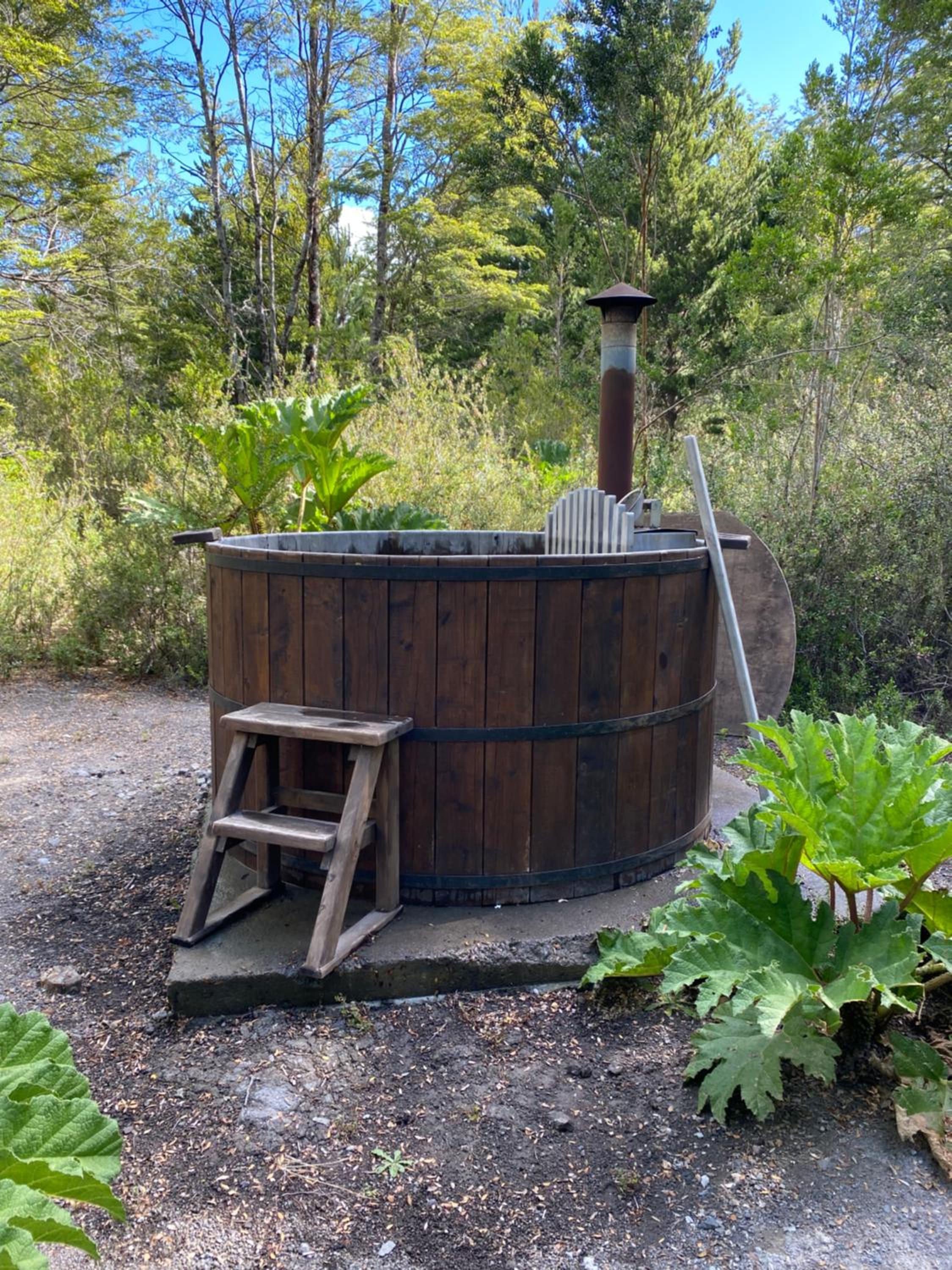 Carpinterito cabaña, ensenada campestre
