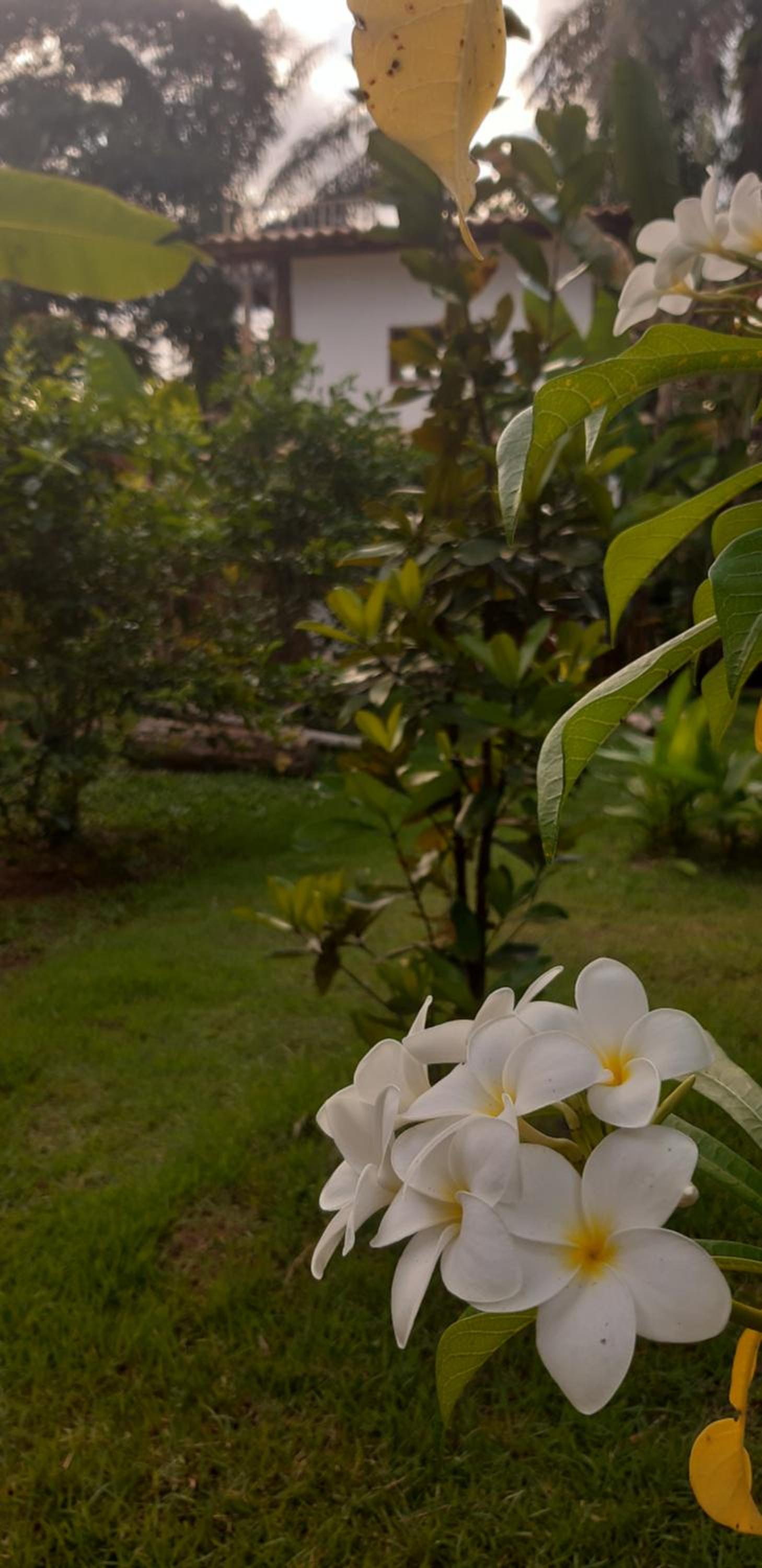 Boutique Beach Chalet, Luzimares, Serra Grande-BA