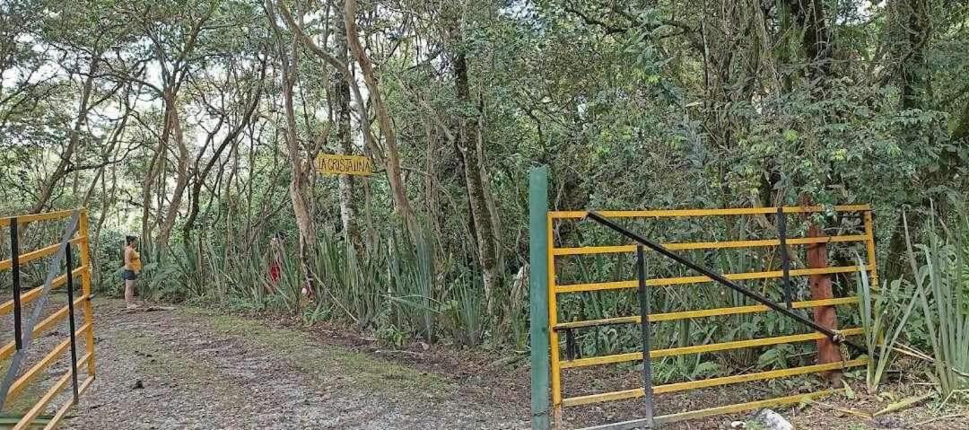Cabaña El Pino