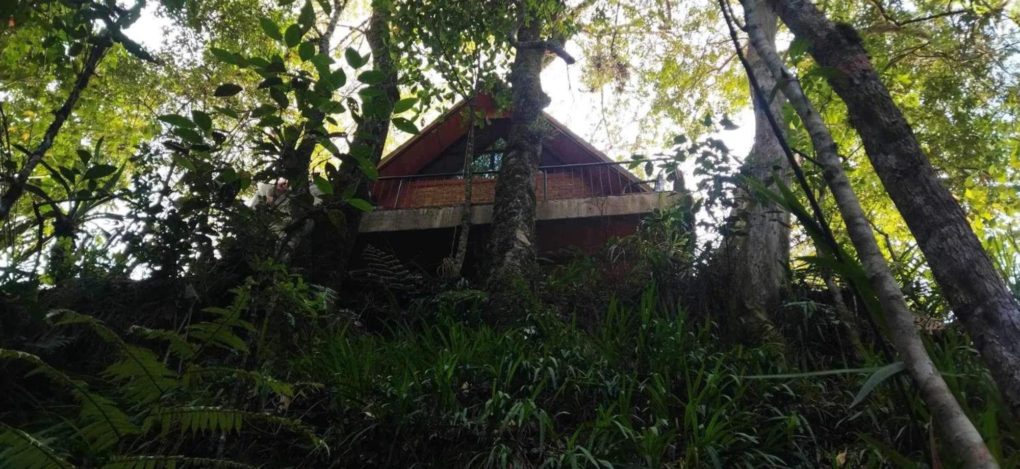 Cabaña El Pino