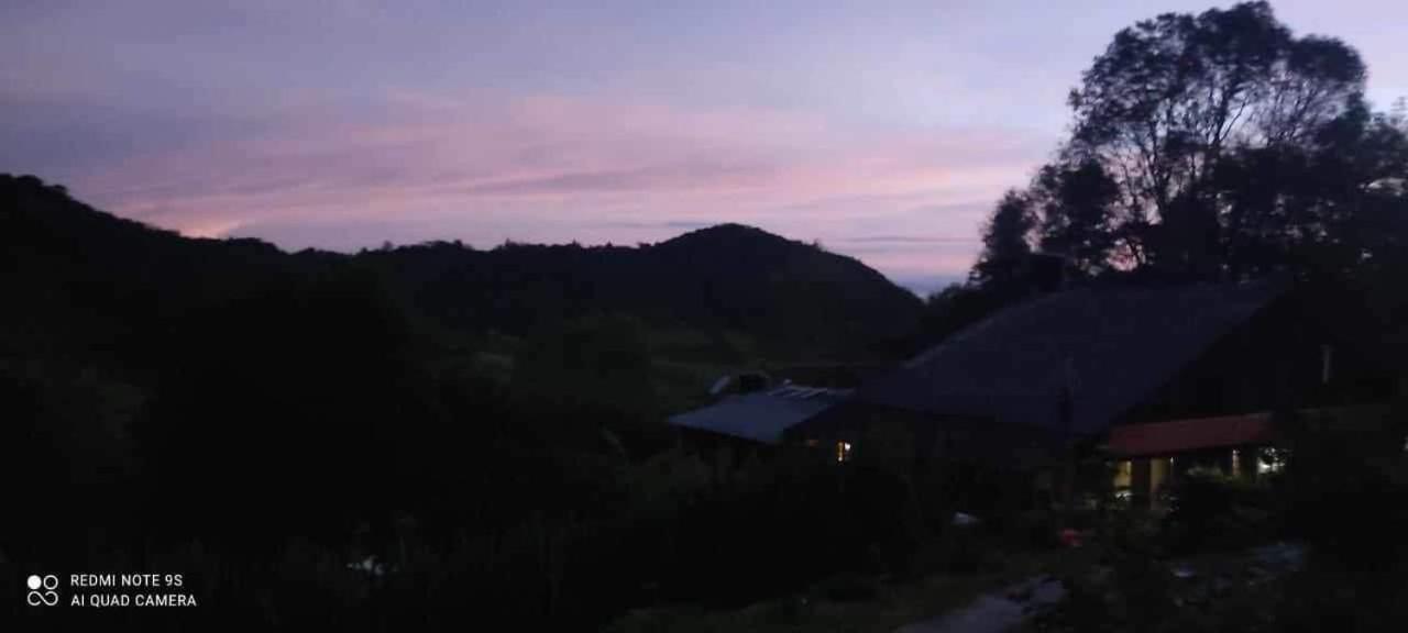 Cabaña El Pino