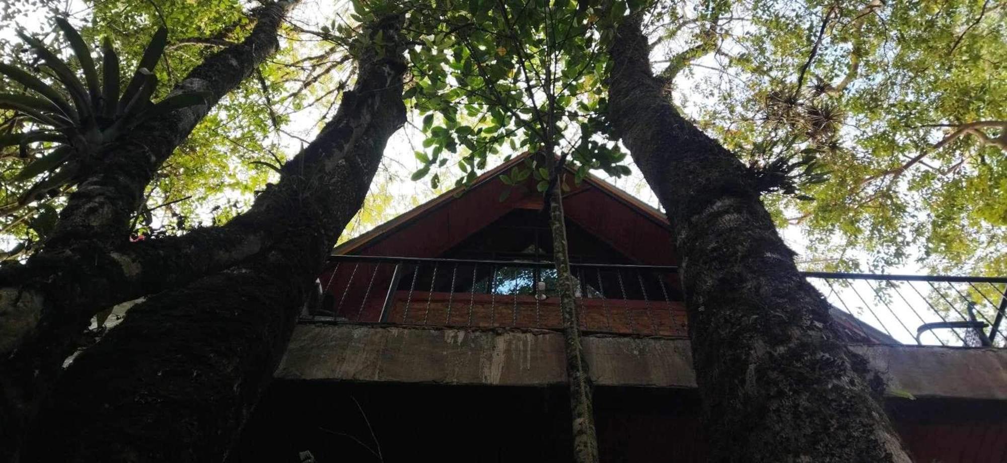 Cabaña El Pino