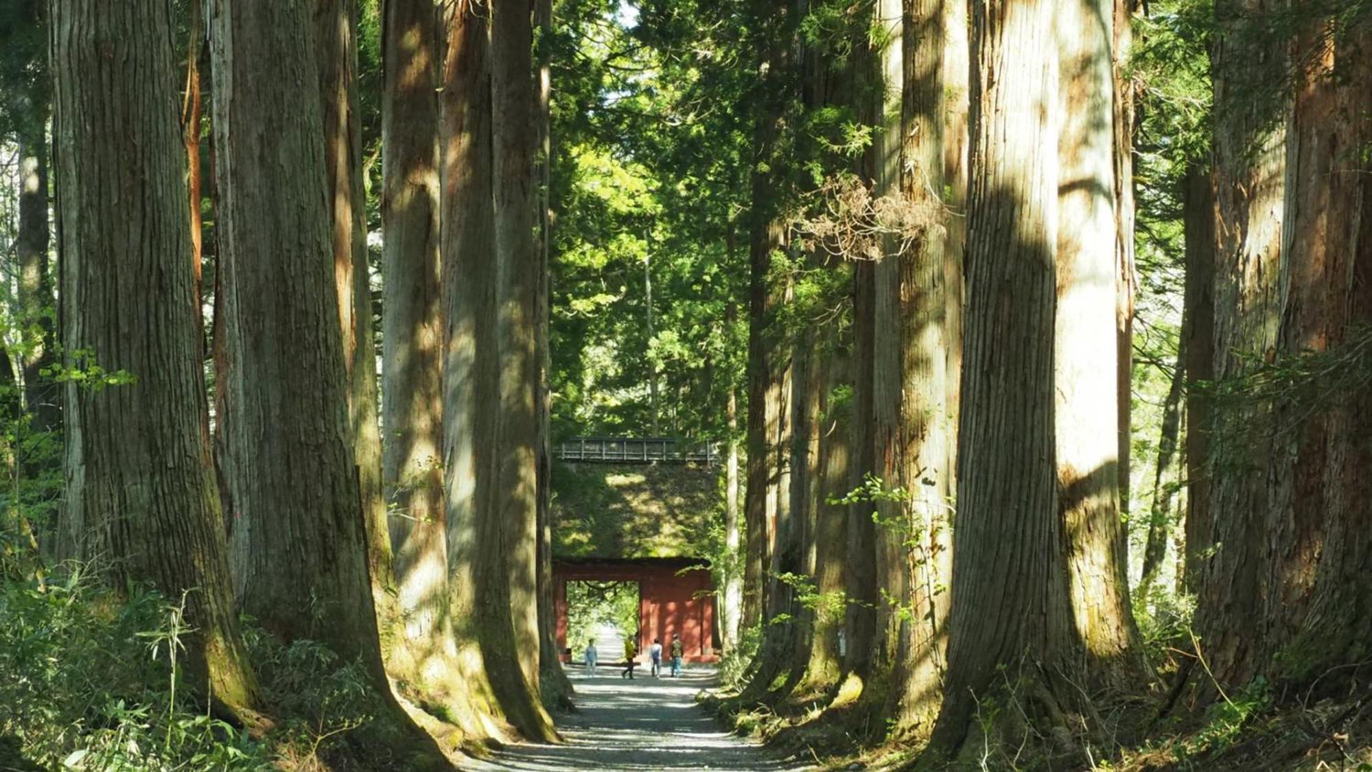 Toyoko Inn Nagano eki Zenkoji guchi, Billede 13