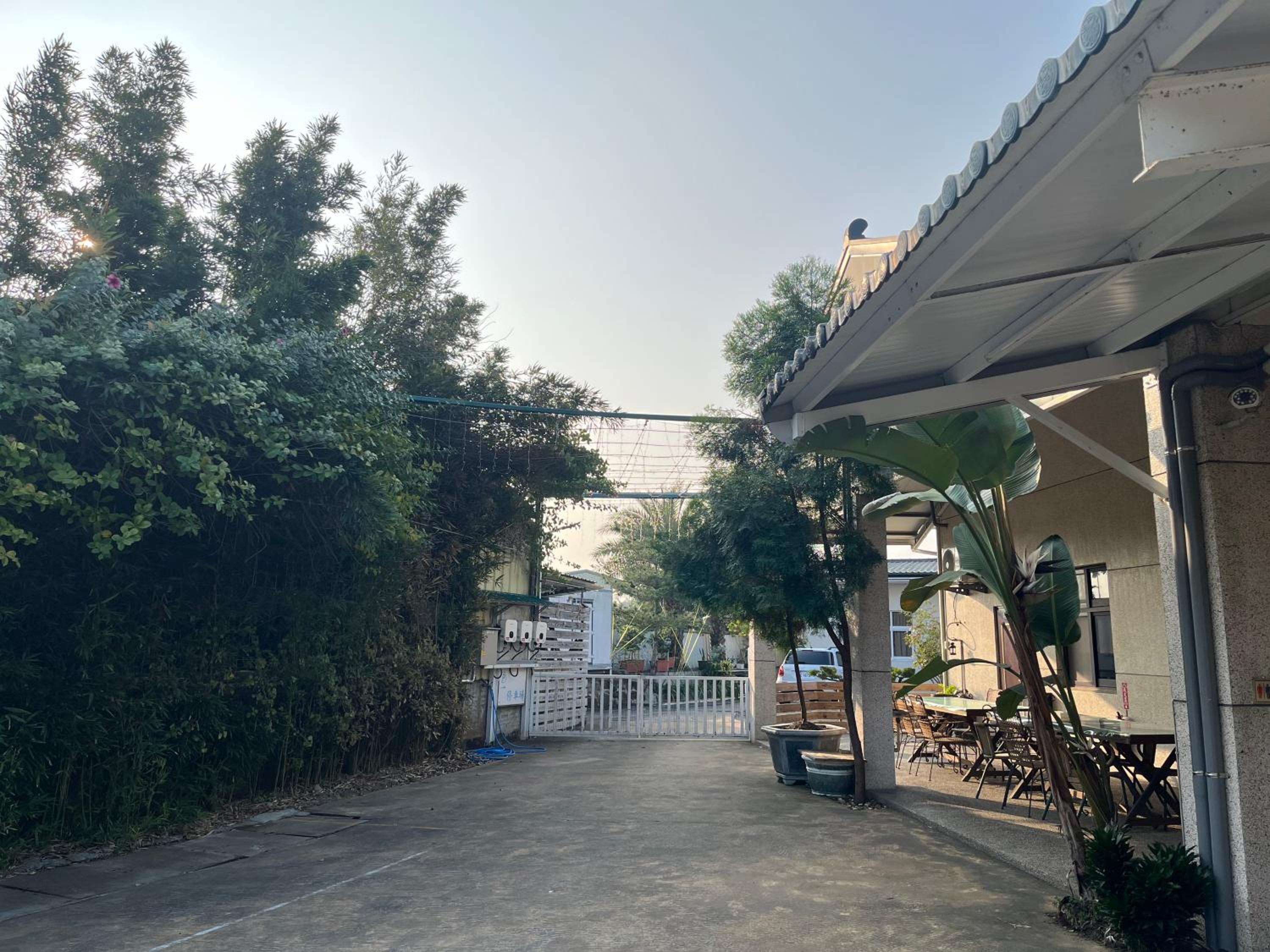 日升咖啡民宿 view 5