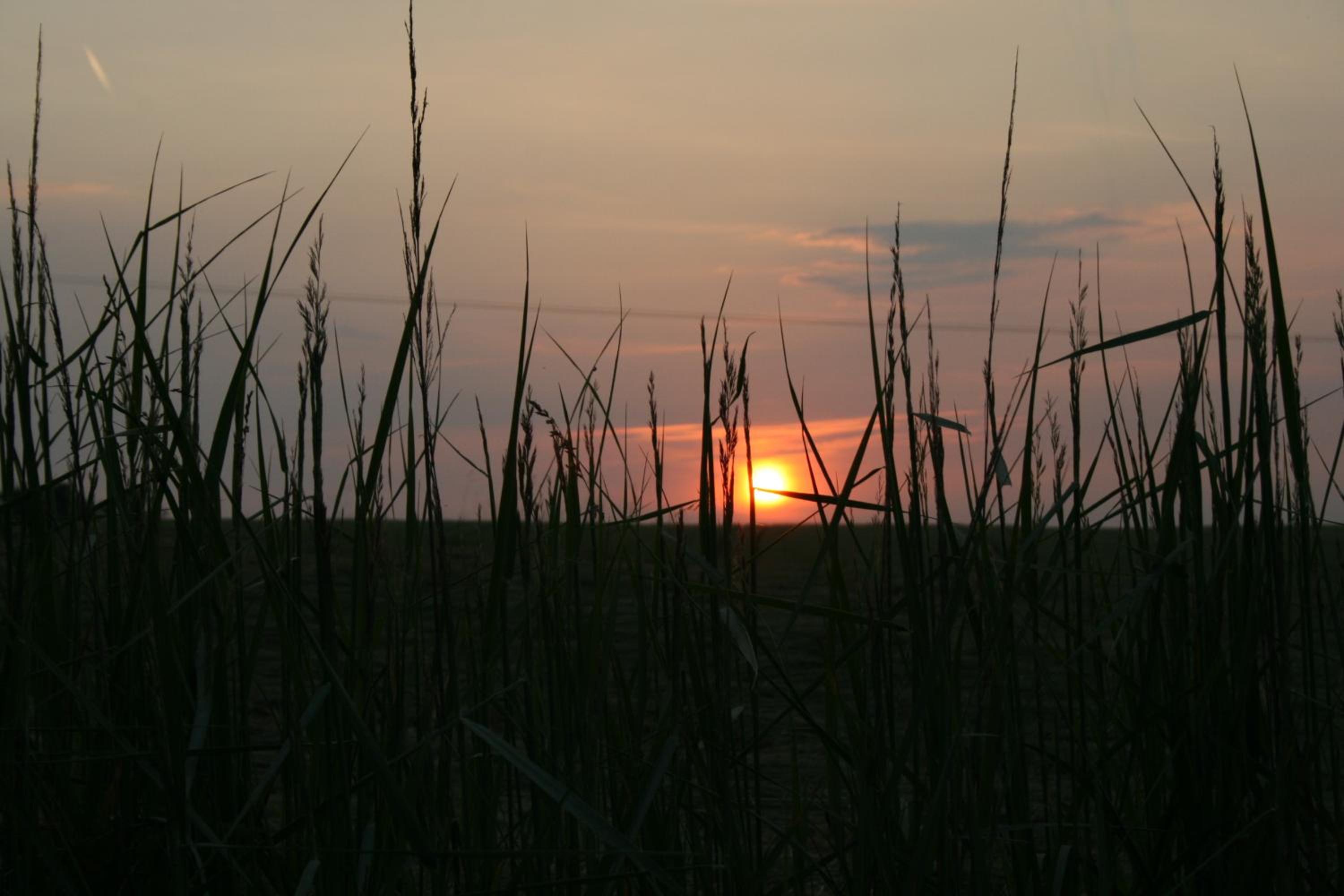 Malomdűlő Farmház