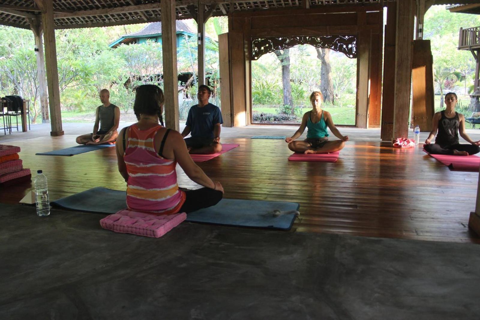 Alaya Ecolodge