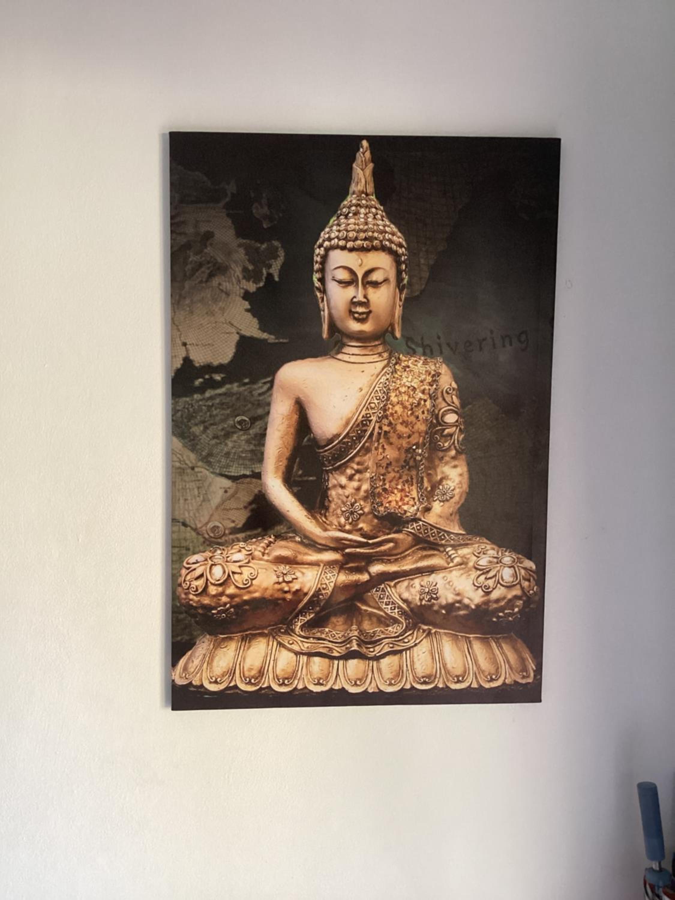 Photo 51