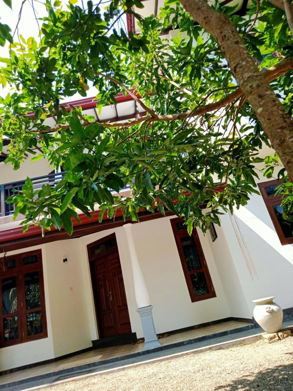 Ashi villa