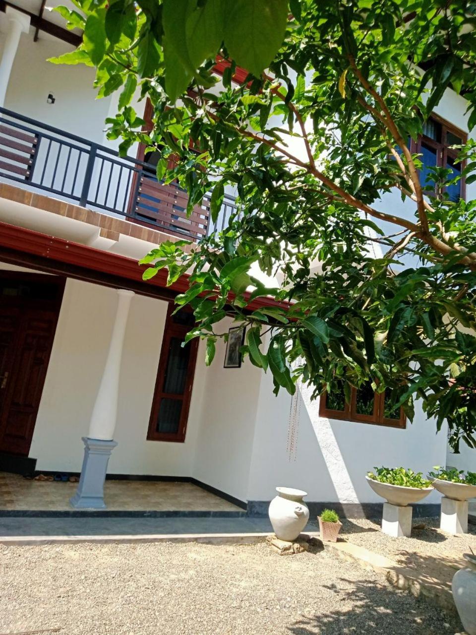 Ashi villa
