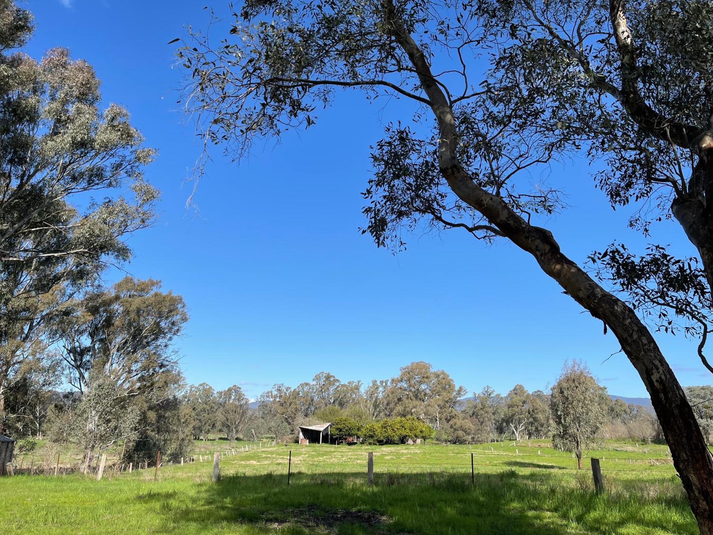Swanpool - Serendipity House