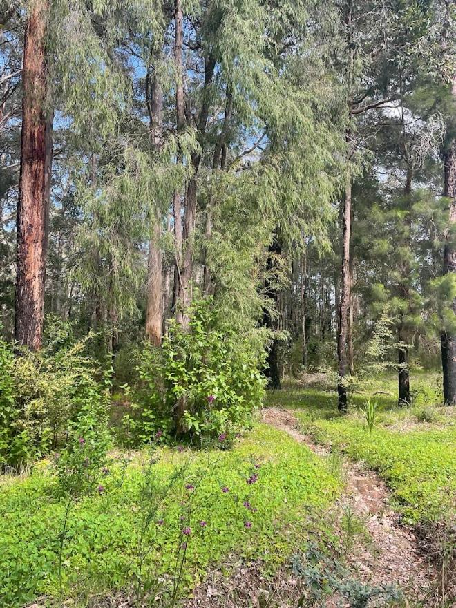 The Karri Hideaway- Sauna and Spa!