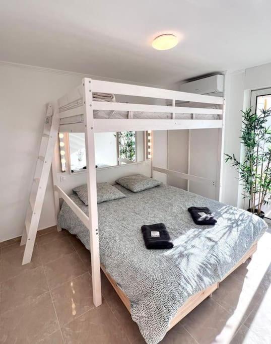 Appartement Luxueux 