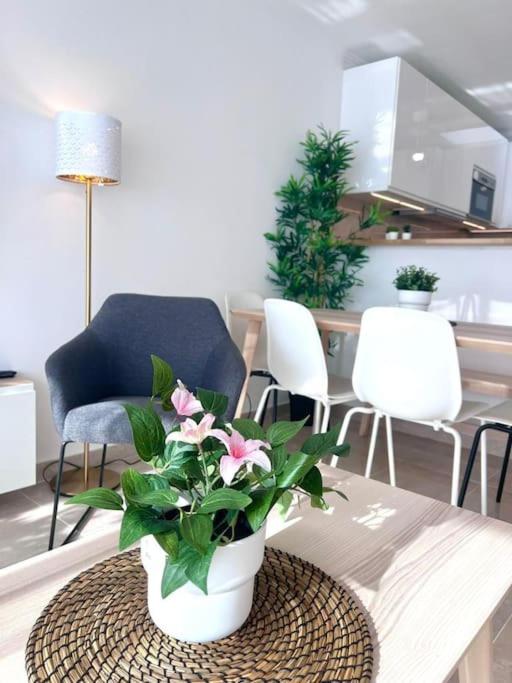 Appartement Luxueux 