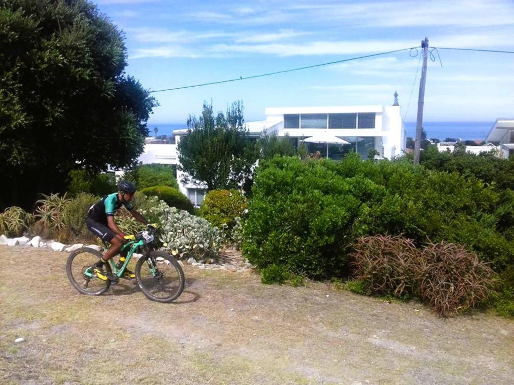 Photo 6