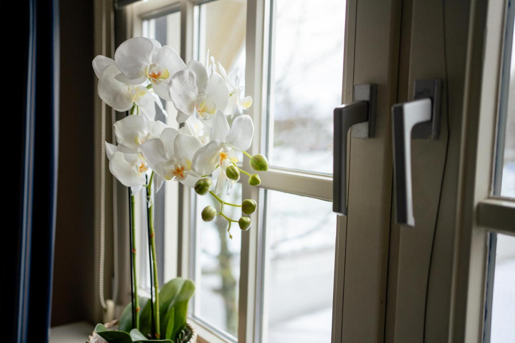 De Postelhoek B&B