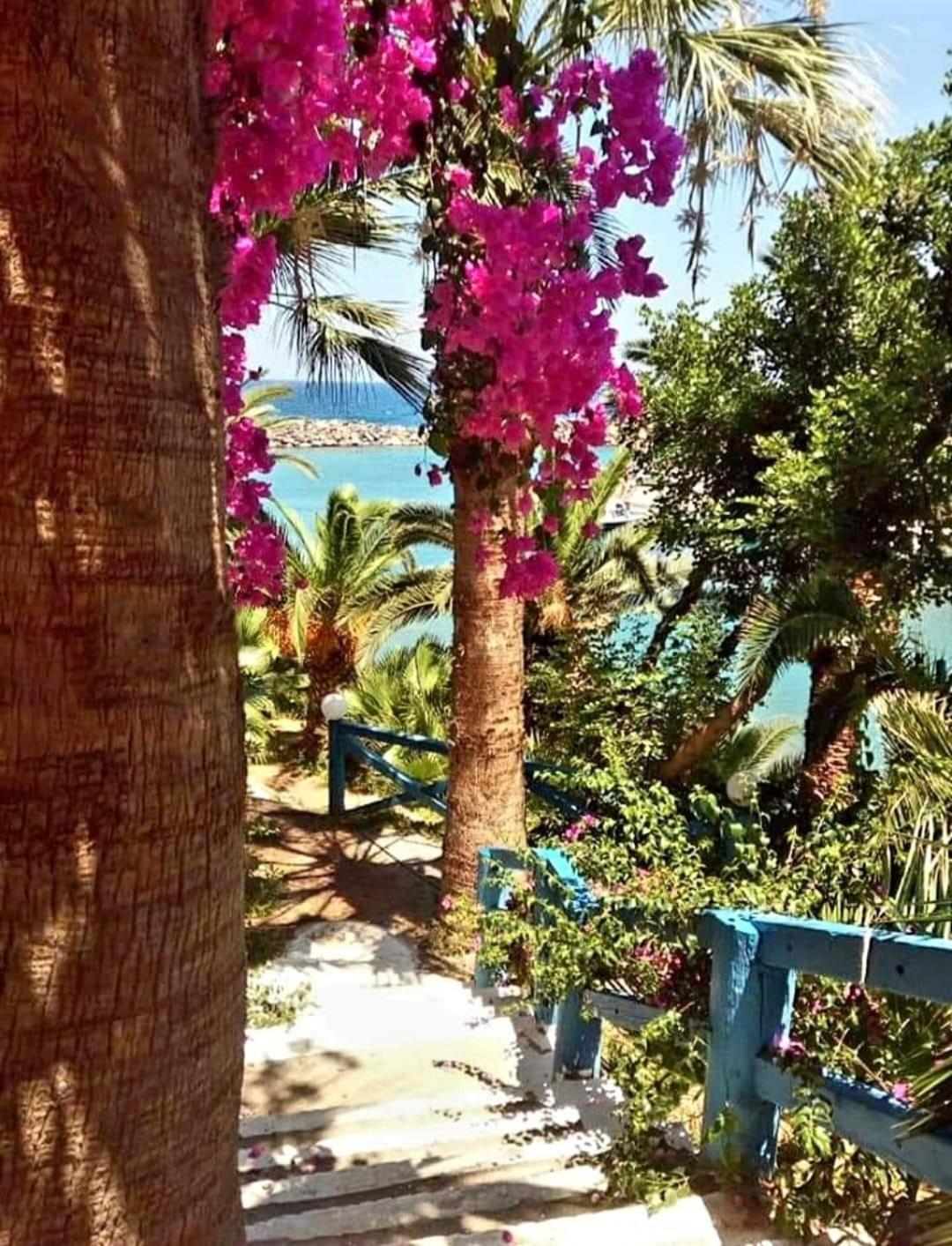 Sissi Holiday Appartement