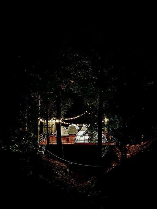 Tent stay in Wayanad view 2