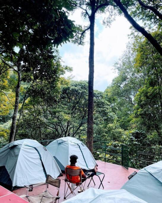 Tent stay in Wayanad view 3