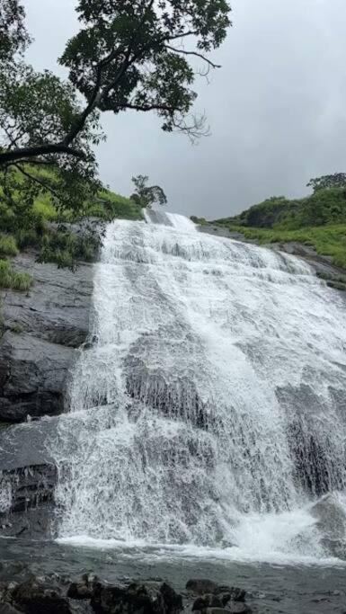 Tent stay in Wayanad view 4