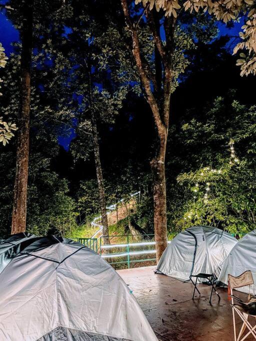 Tent stay in Wayanad view 5