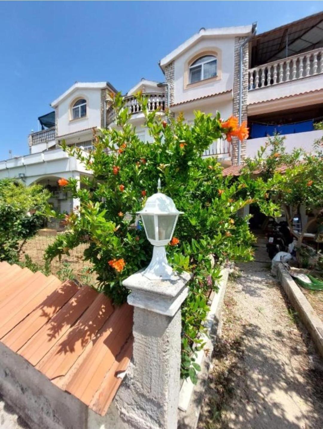 Apartman Žuki