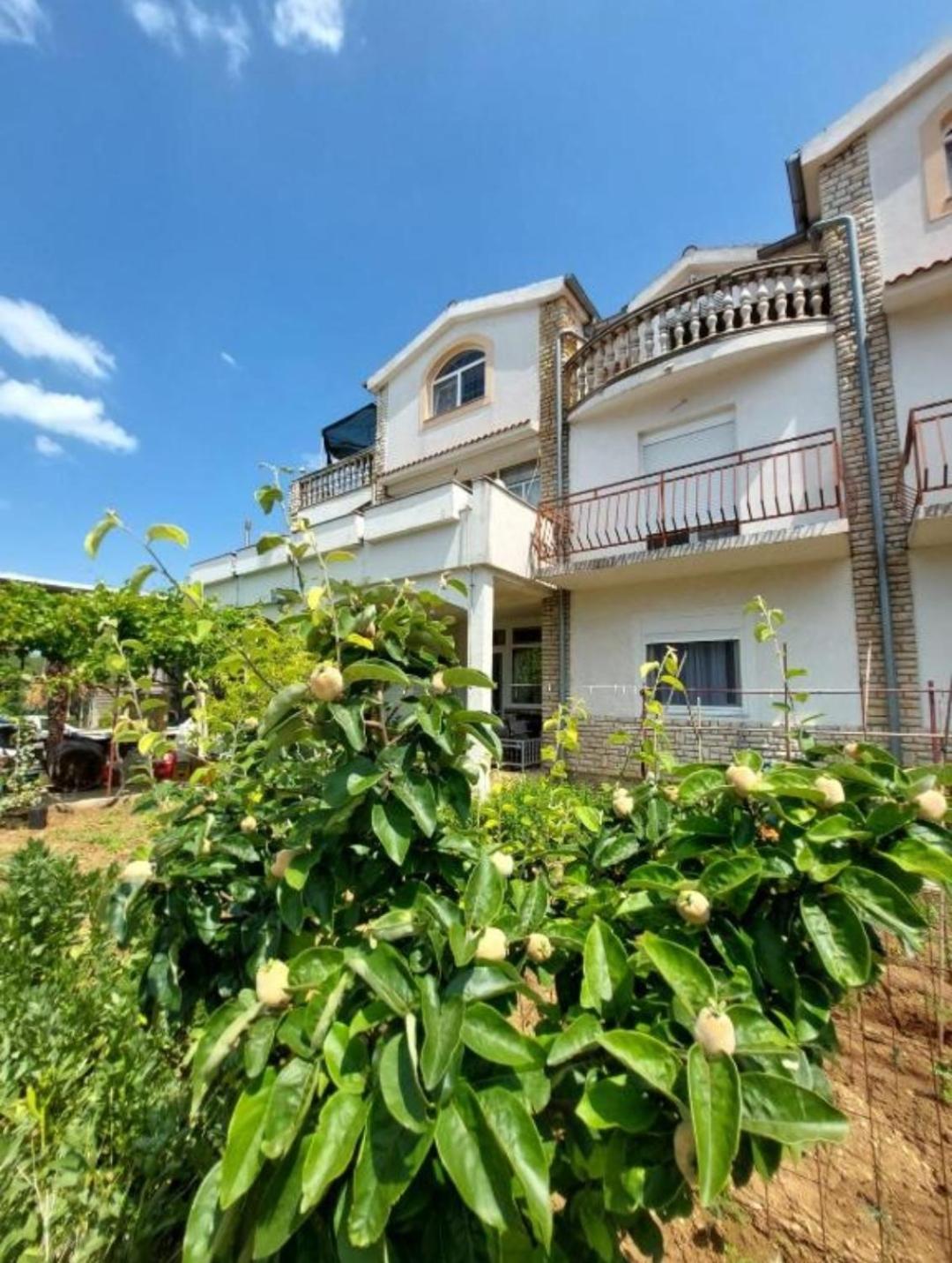 Apartman Žuki