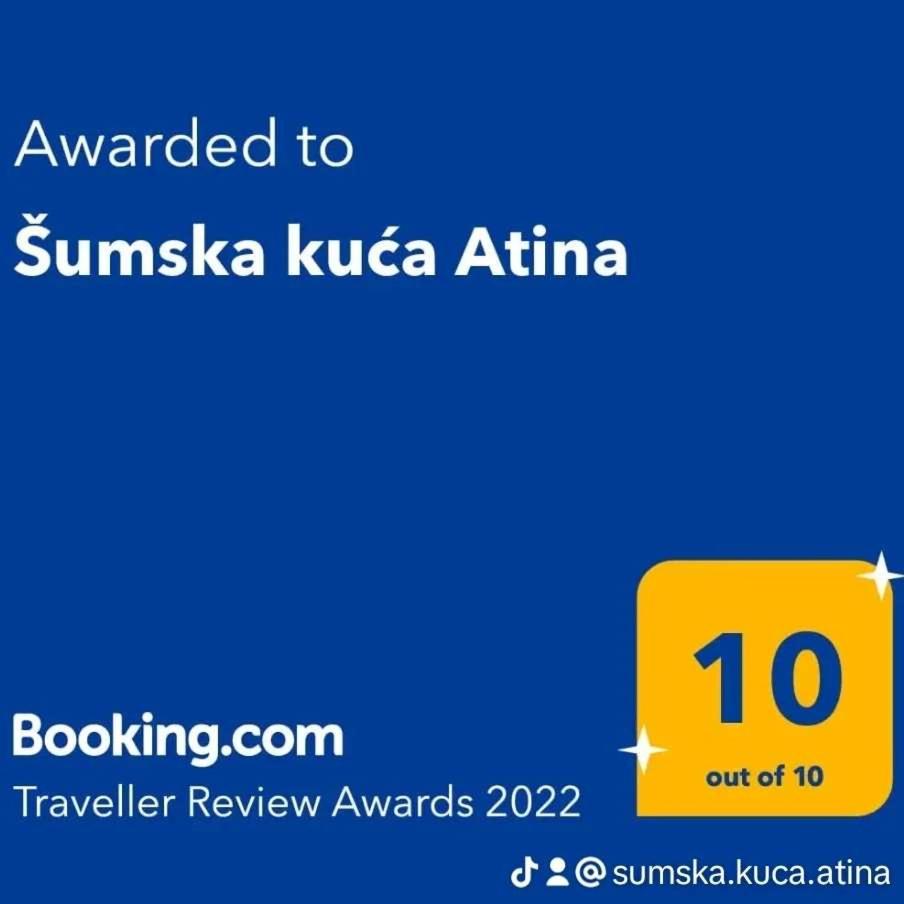 Šumska kuća Atina- Devojački Bunar view 2