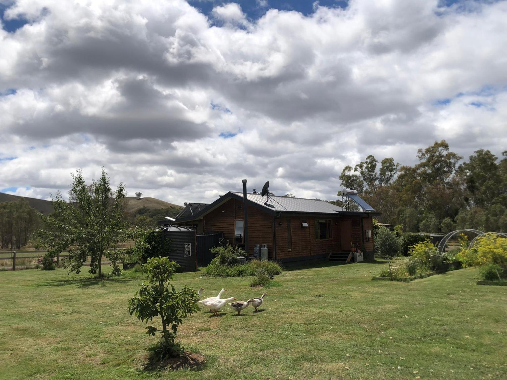 Starlight Lodge