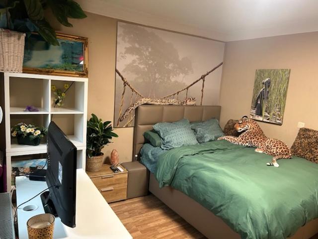 Jungle Magic Room near Atomium , Heyzel Stadium