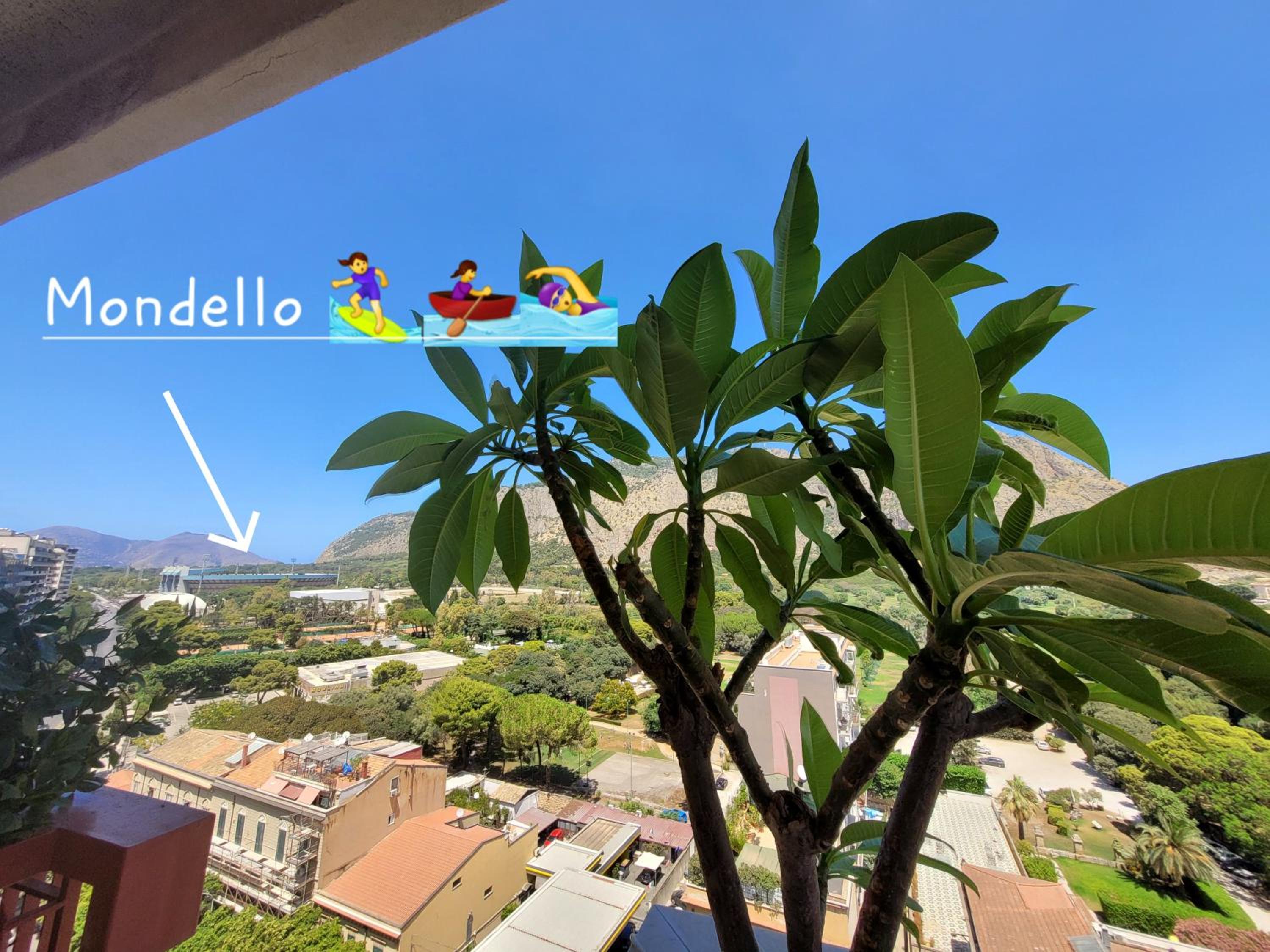 Leoni63 view 5