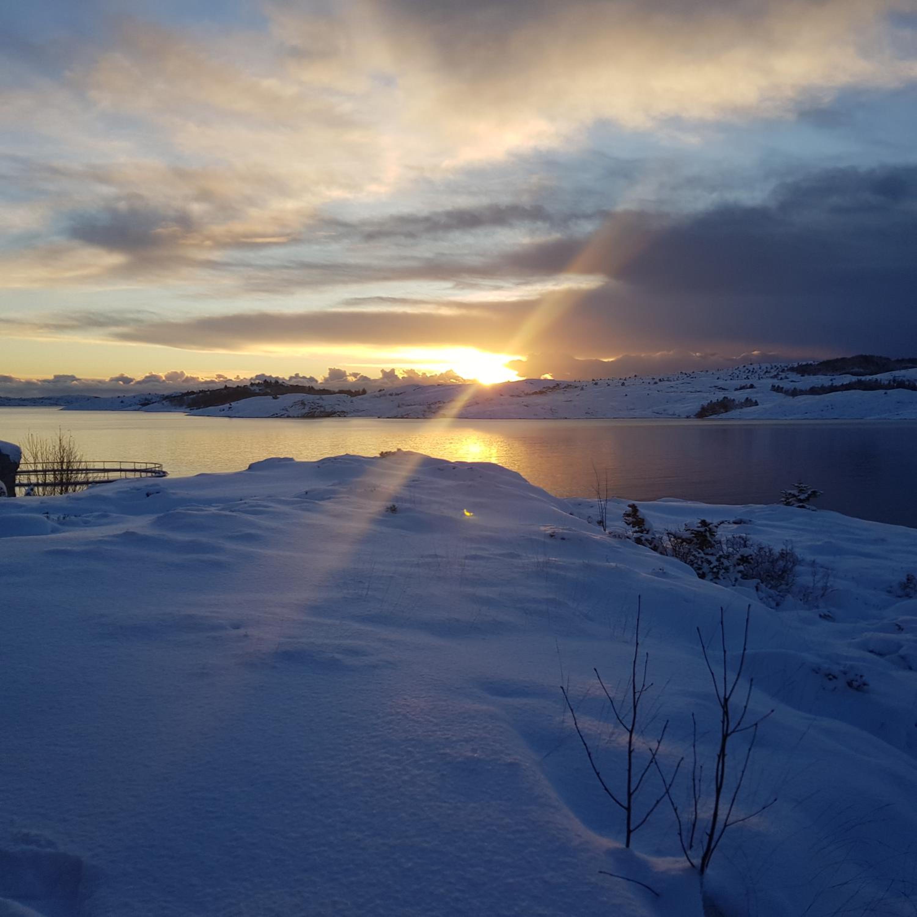 Austefjorden Fjordsuite med Panoramautsikt
