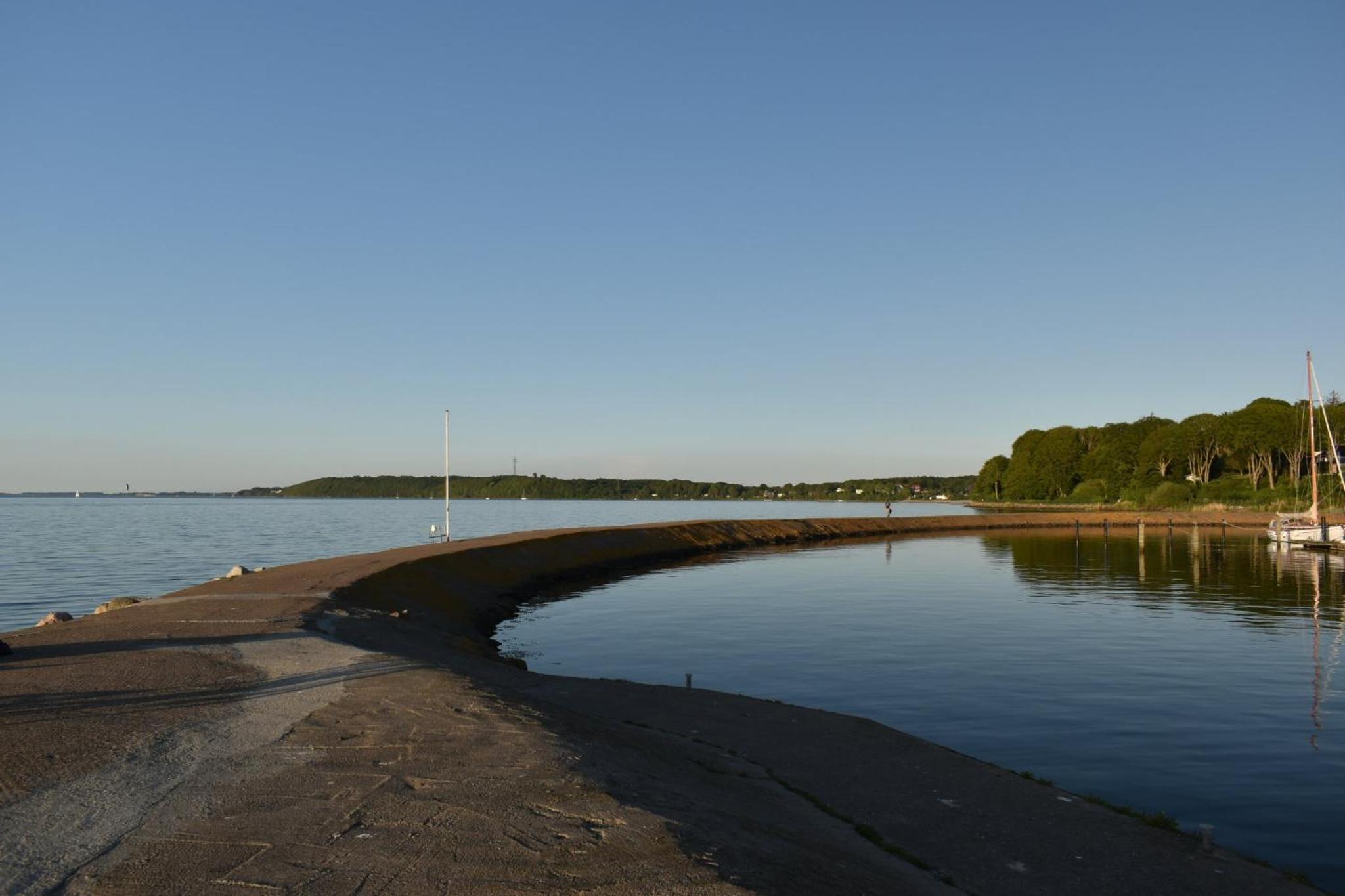 Möwennest am Twedter Holz
