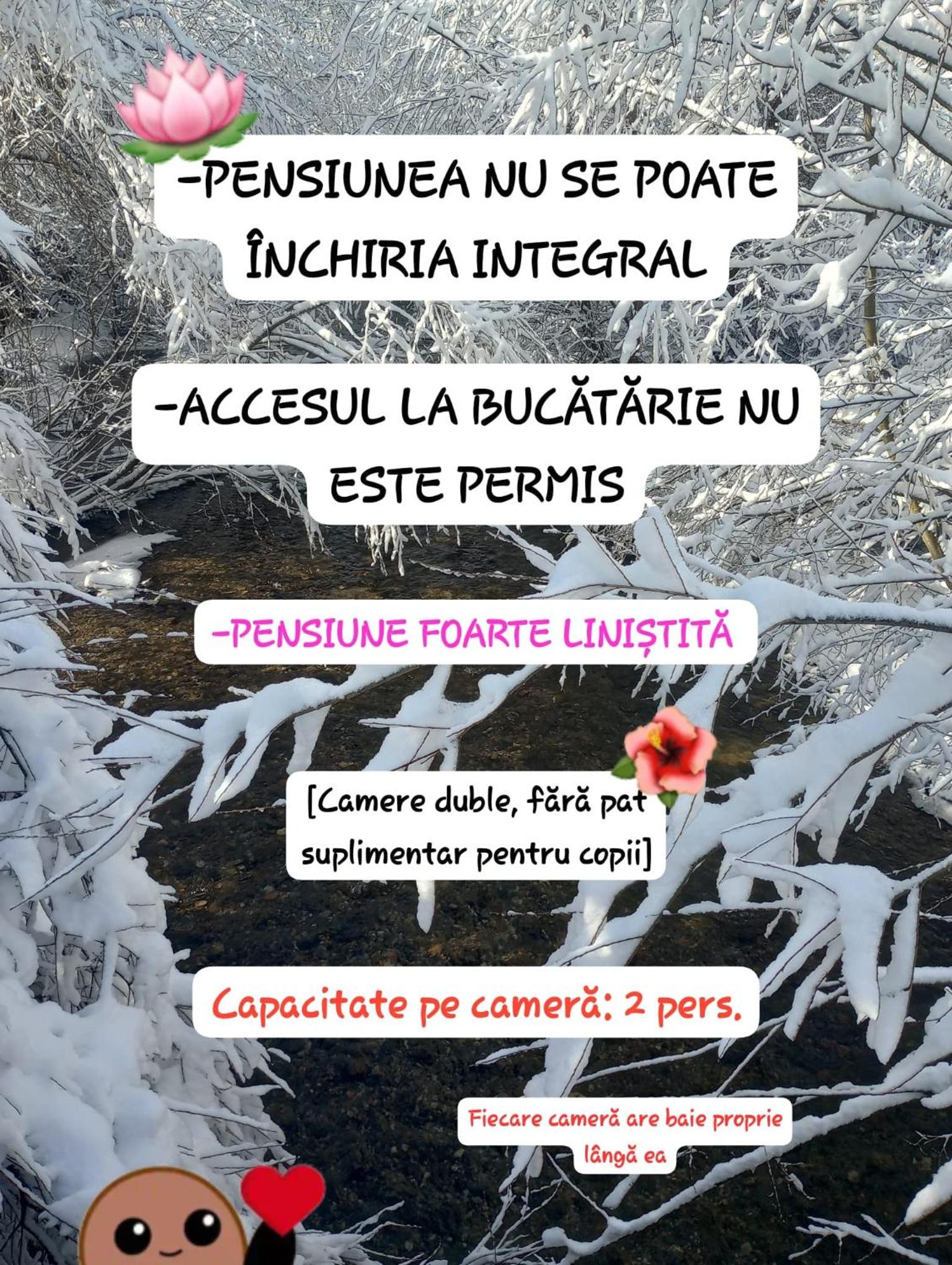 Casa Muntelui Râșnov view 3