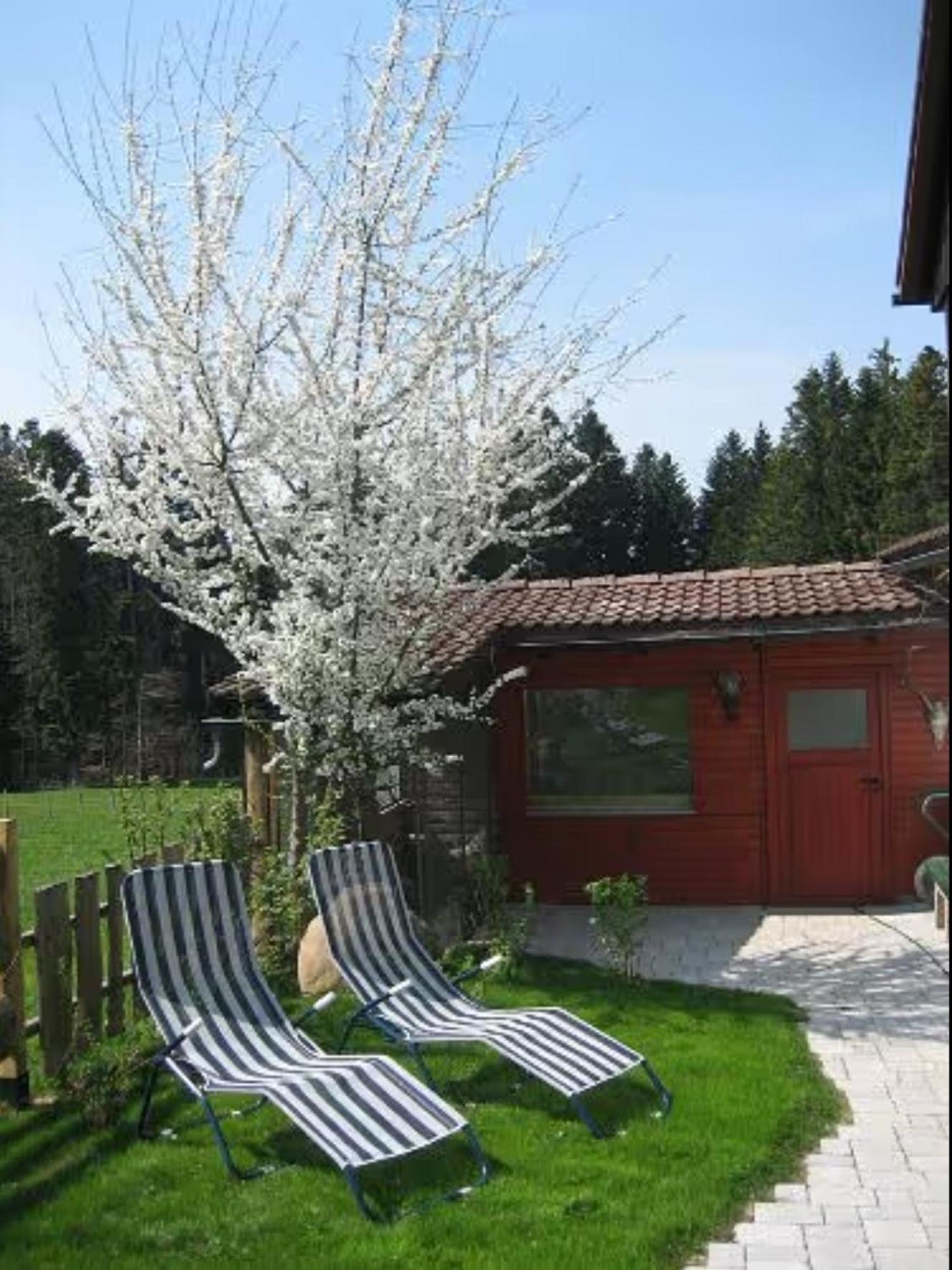 Haus Biggi - Ferienwohnung Pfänder
