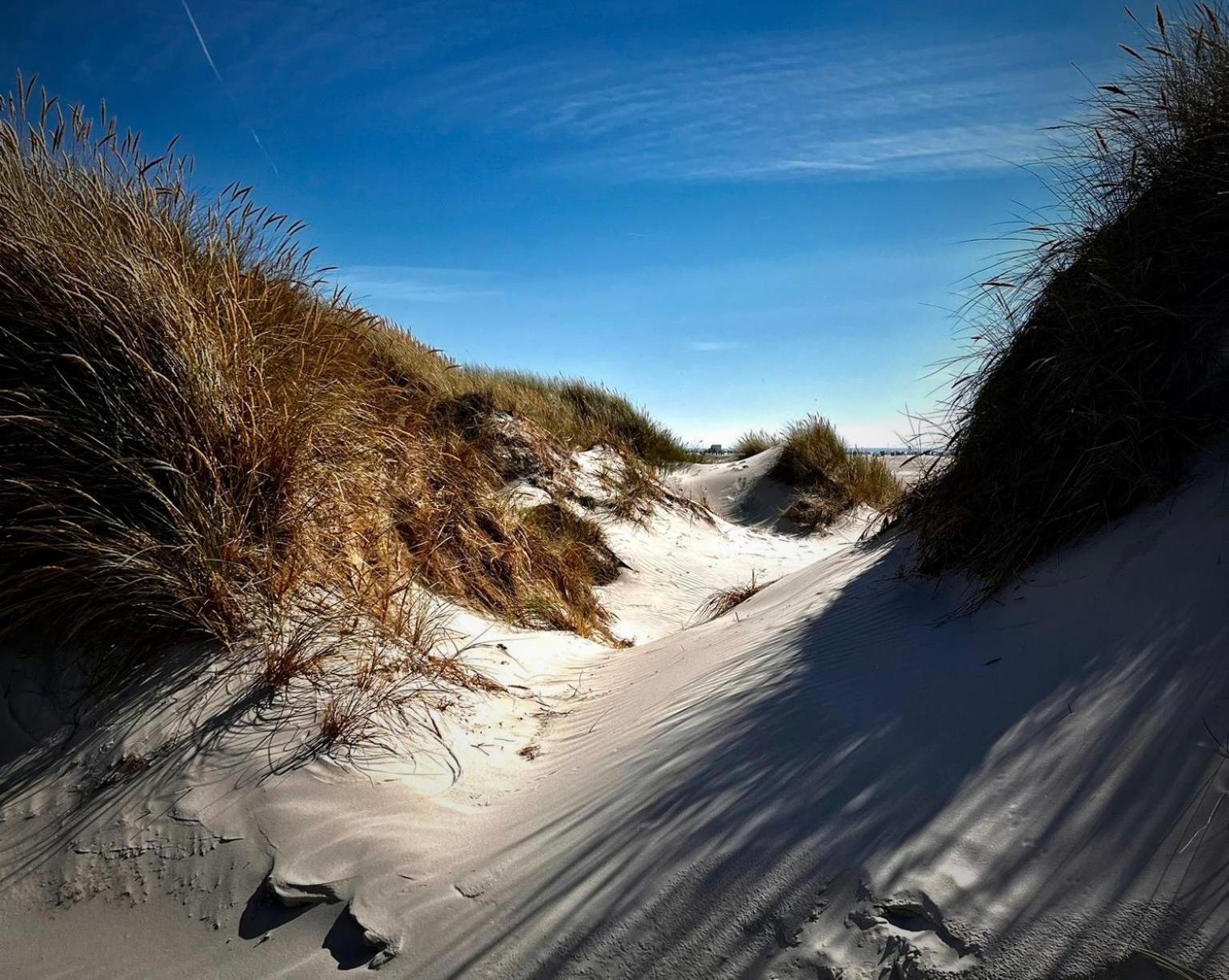 GUNDT Amrum view 5