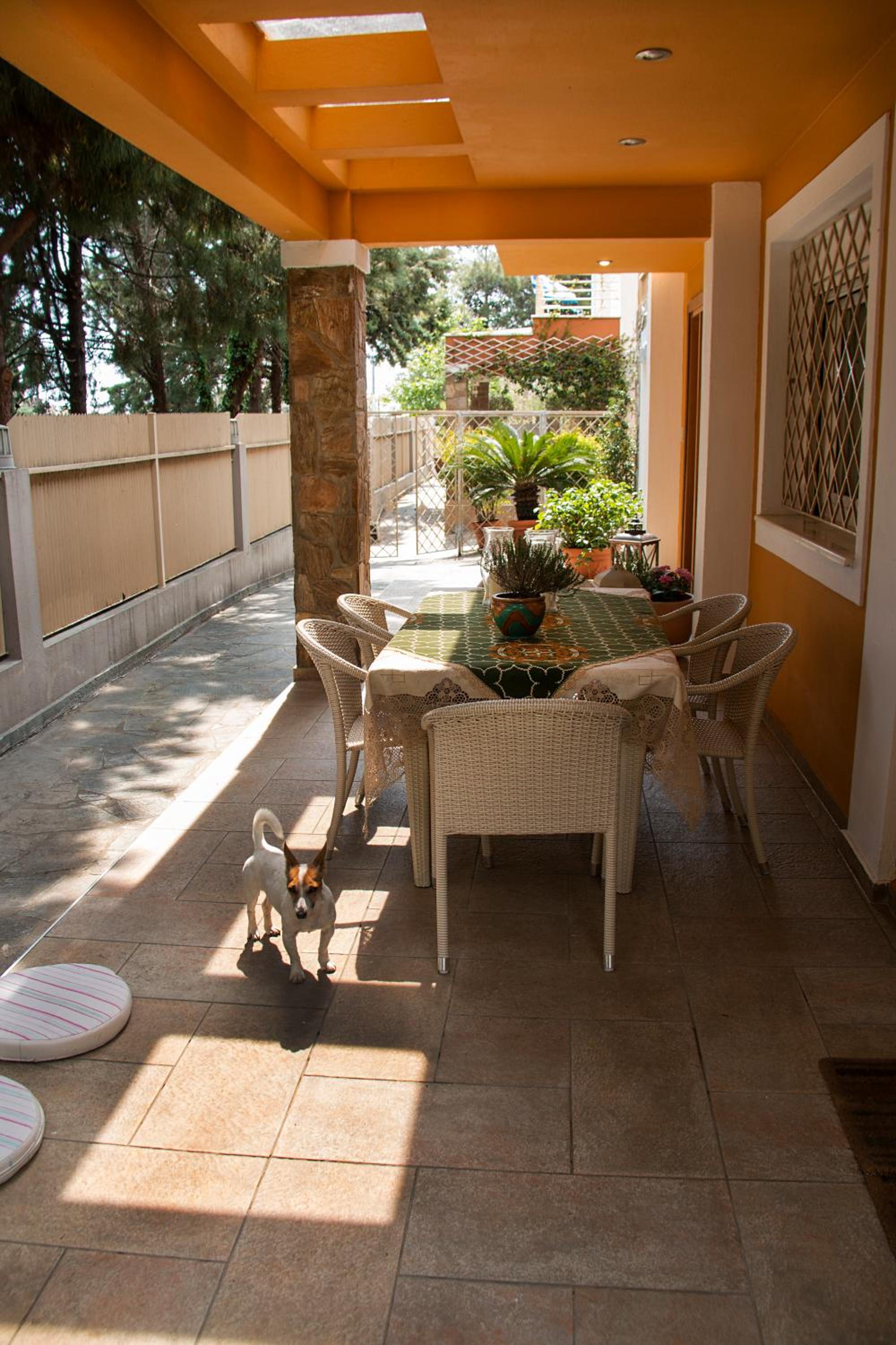 Superior King Size Villa Vasiliki view 5