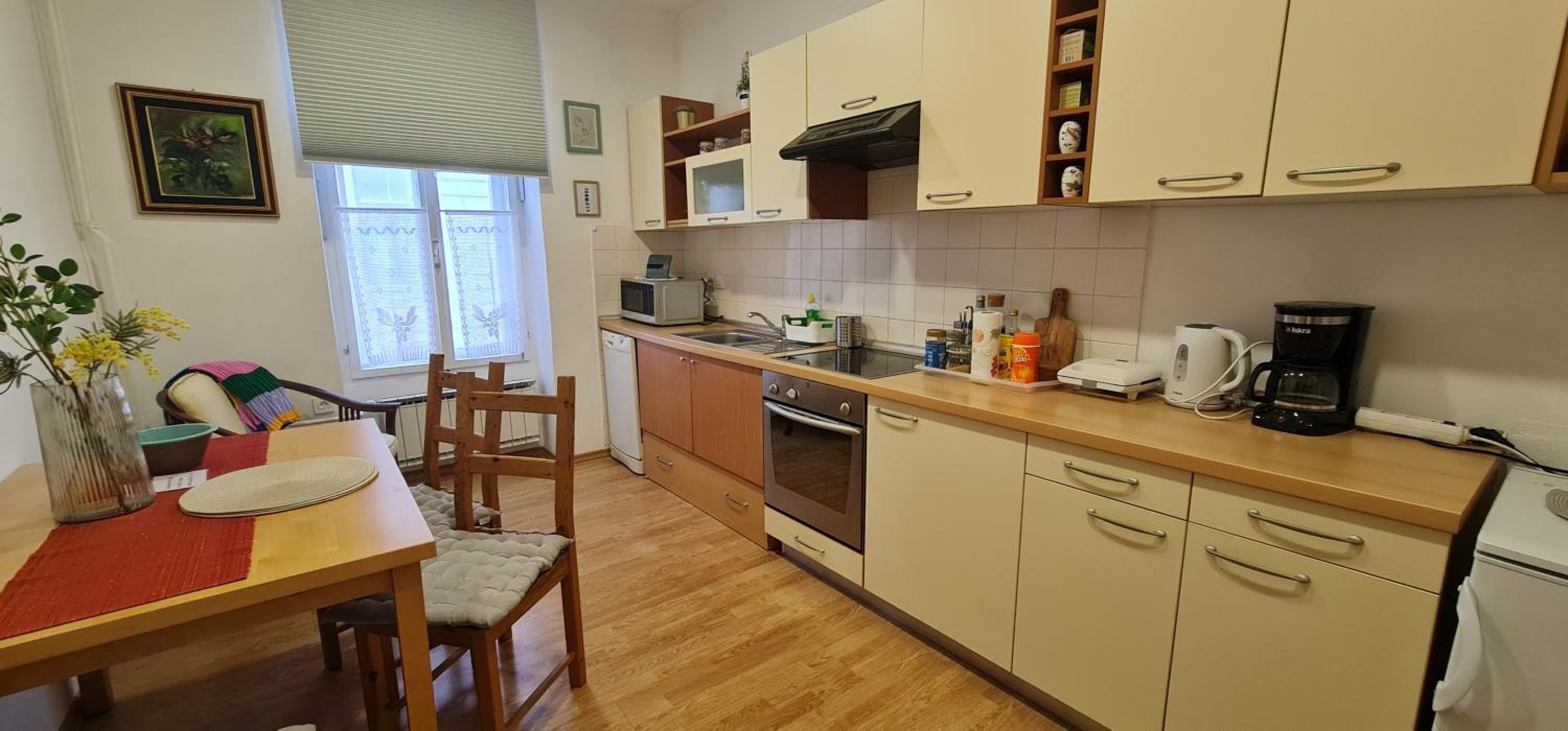 APARTMA DOMENIKA view 4