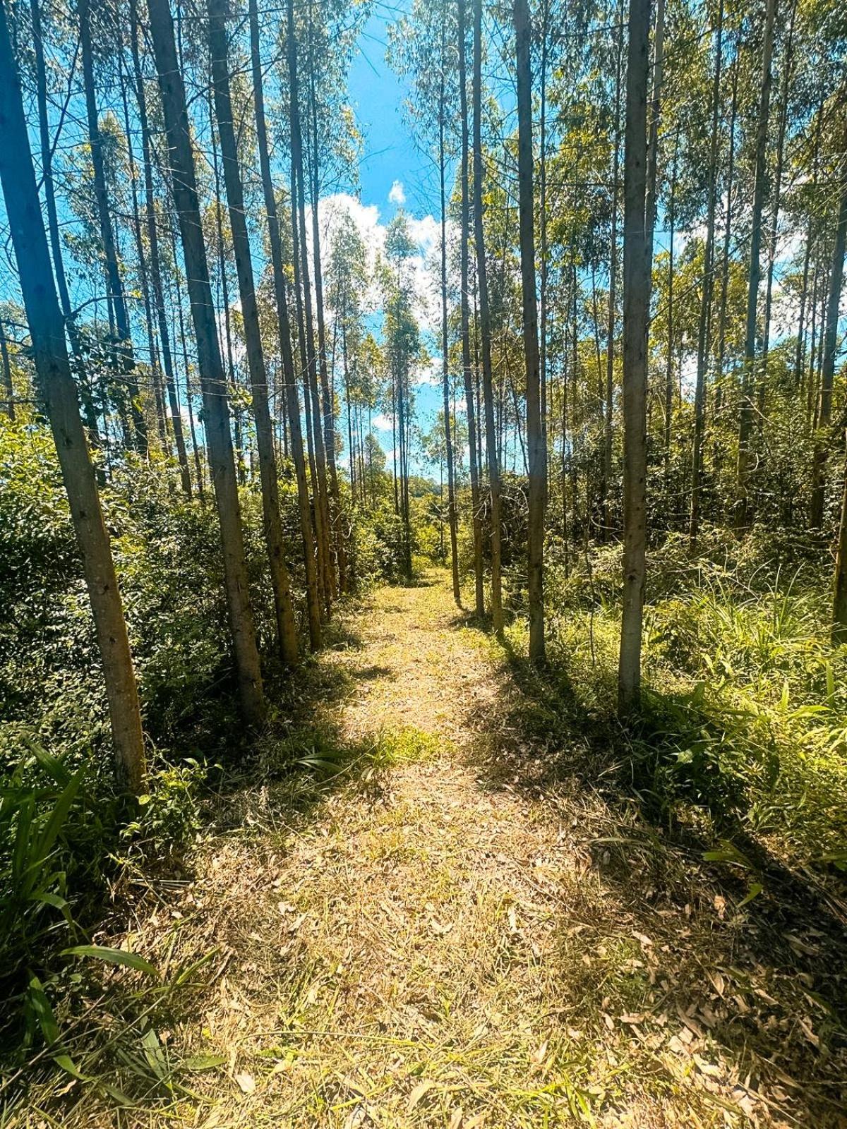 Cabana Vista Bela