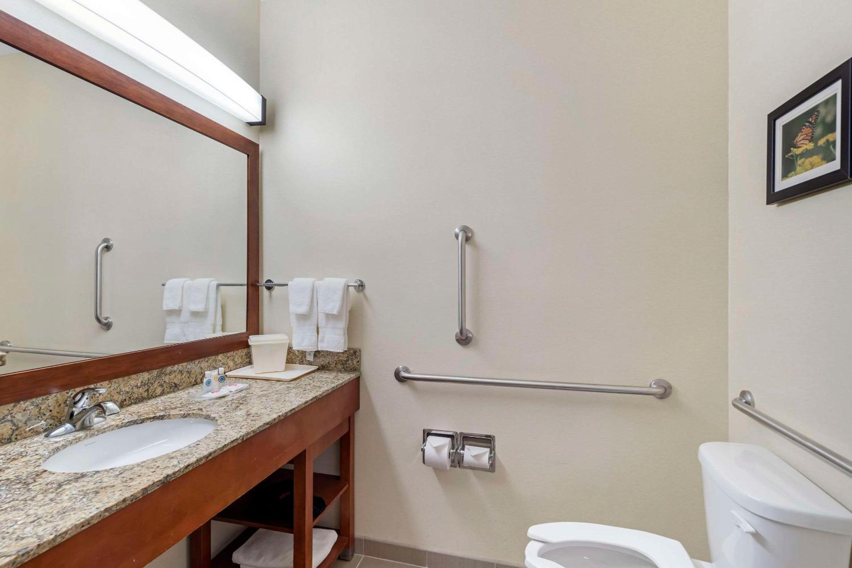 Bloomington Vacations - Comfort Suites Normal University area - Property Image 27