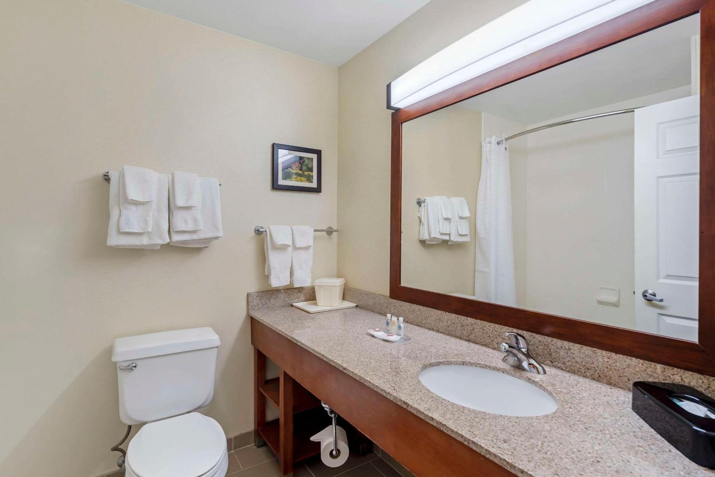 Bloomington Vacations - Comfort Suites Normal University area - Property Image 26