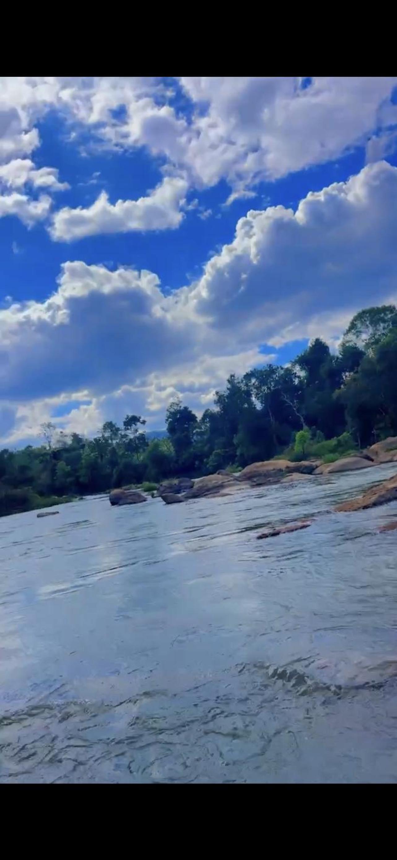 Bhadra Jungle Retreat