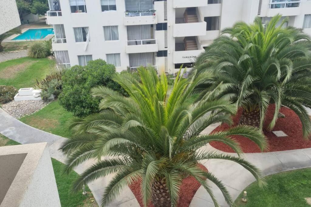 Hermoso Departamento La Serena
