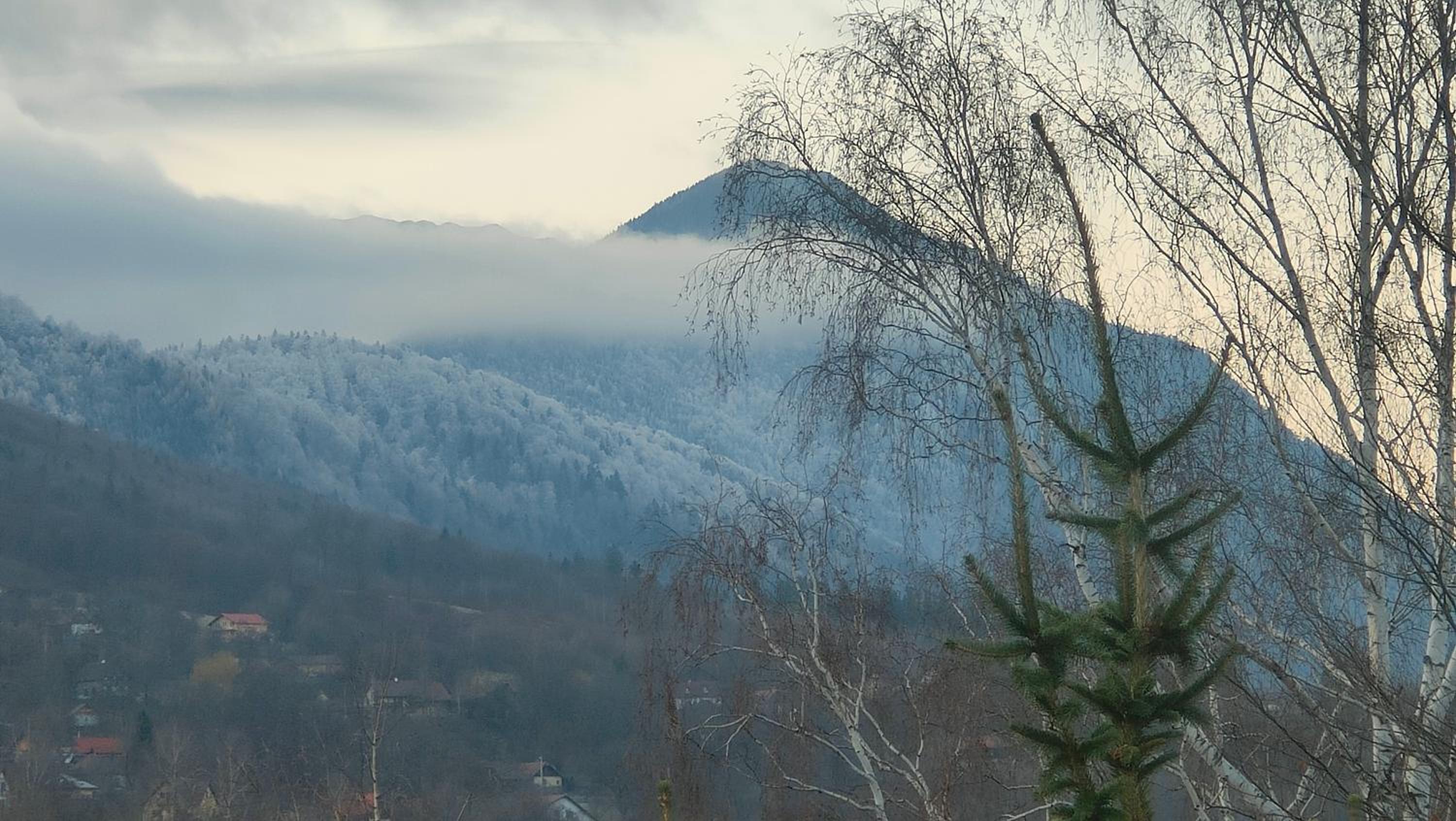 Casa Ciubărului Bran